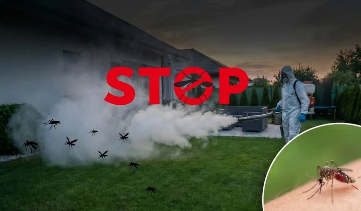 Obraz do artykułu: Jak wygrać wojnę z komarami i uratować letnie wieczory?