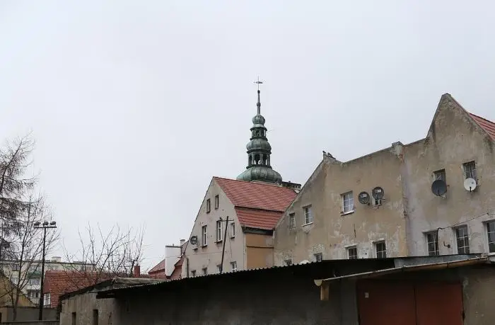 Sędziwy kasztanowiec przy sądzie został wpisany na listę pomników przyrody