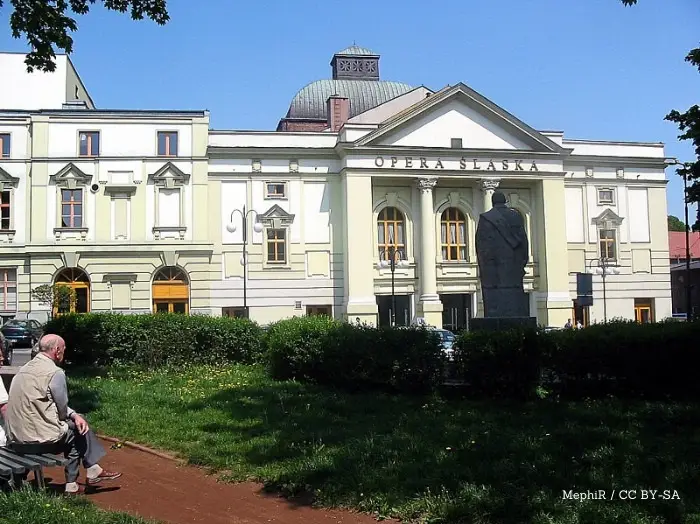 Jerzyki dostaną nowe domy – miasto wznawia program bezpłatnych budek