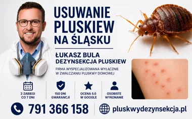 Obraz do artykułu: Łukasz Bula Dezynsekcja Pluskiew – firma wyspecjalizowana wyłącznie w zwalczaniu pluskiew domowych na Śląsku