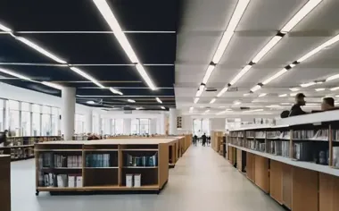 Z Bytomia do Lascaux. Dzieci zaczęły Letnią Akademię Sztuki