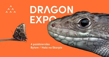 Dragon Expo Bytom – egzotyka i rośliny