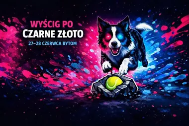 IV Wyścig po Czarne Złoto – zawody flyballowe w Bytomiu